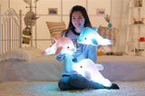 Dolphin LED Cushion