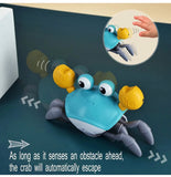 Crawling Crab Muscial Toy