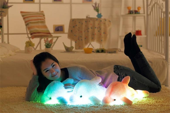 Dolphin LED Cushion